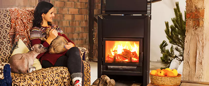 Wood Stove Chimney Cleaning Services in Allendale, GA