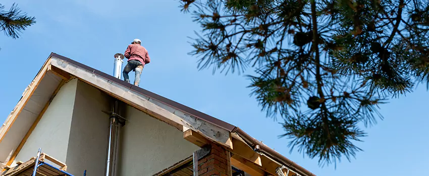 Birds Removal Contractors from Chimney in Allendale, GA
