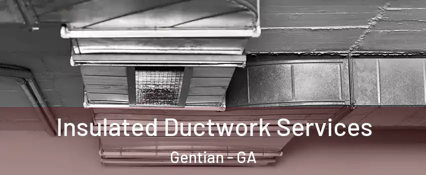 Insulated Ductwork Services Gentian - GA