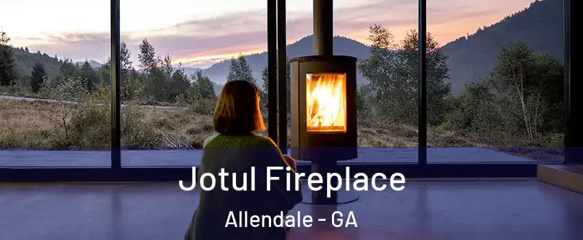 Jotul Fireplace Allendale - GA