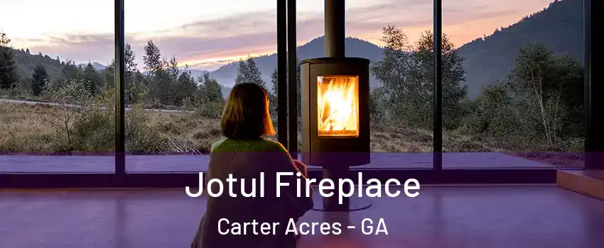 Jotul Fireplace Carter Acres - GA