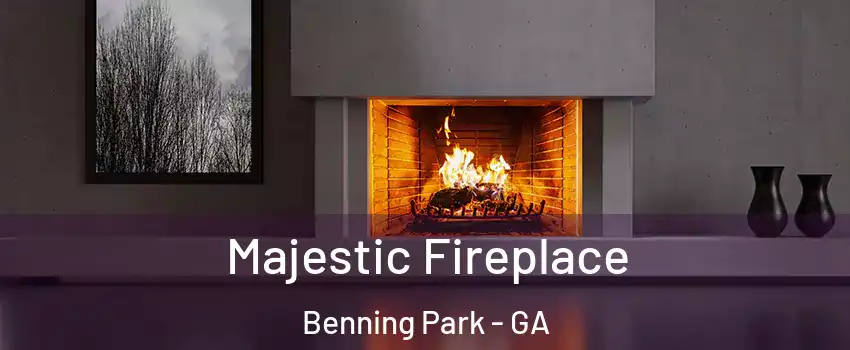Majestic Fireplace Benning Park - GA
