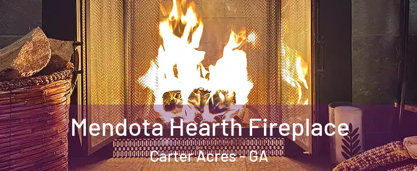 Mendota Hearth Fireplace Carter Acres - GA