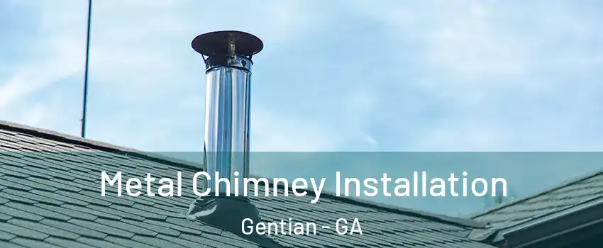 Metal Chimney Installation Gentian - GA