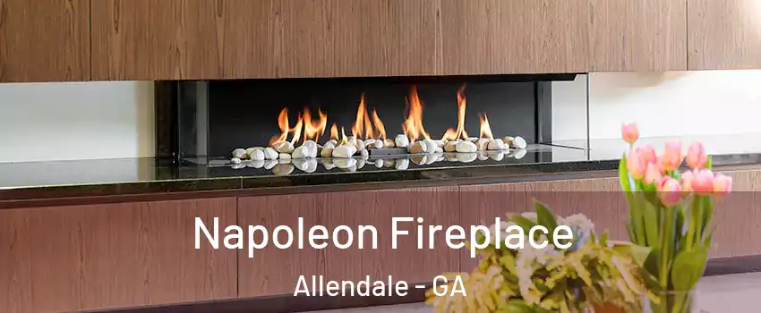Napoleon Fireplace Allendale - GA
