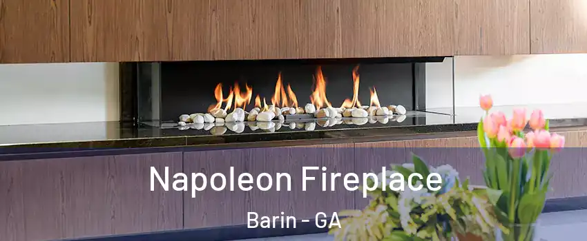 Napoleon Fireplace Barin - GA