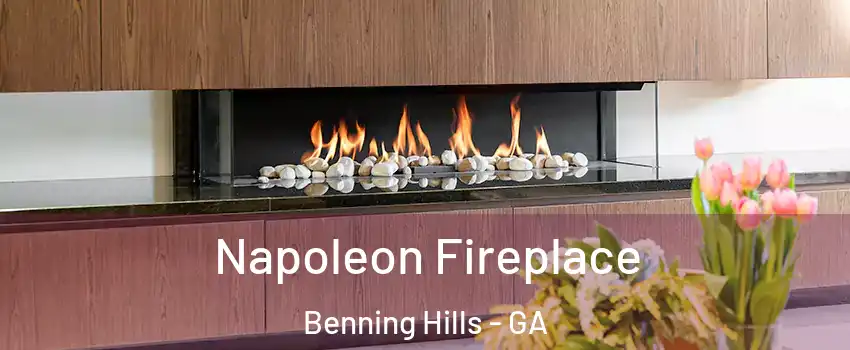 Napoleon Fireplace Benning Hills - GA