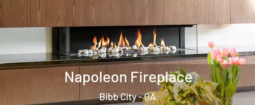 Napoleon Fireplace Bibb City - GA