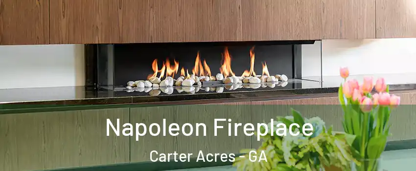 Napoleon Fireplace Carter Acres - GA