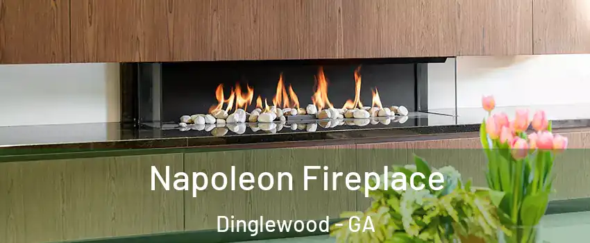 Napoleon Fireplace Dinglewood - GA