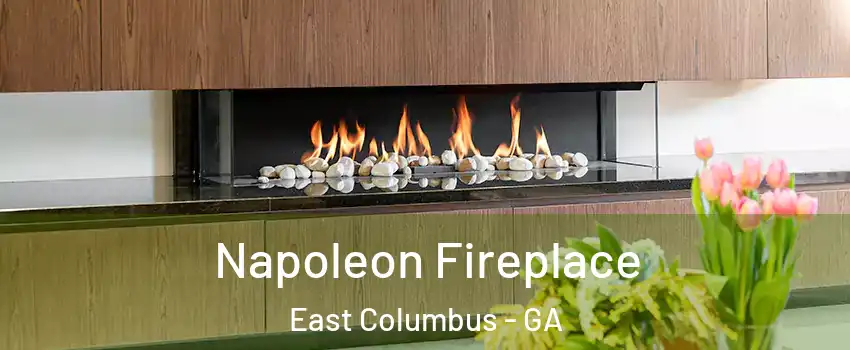Napoleon Fireplace East Columbus - GA
