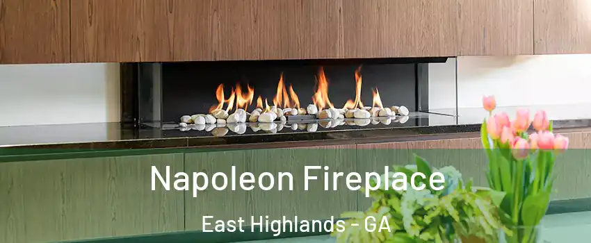 Napoleon Fireplace East Highlands - GA