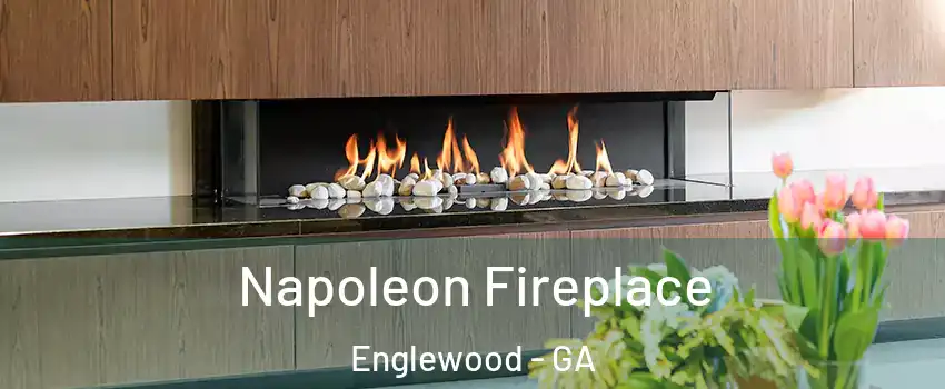 Napoleon Fireplace Englewood - GA