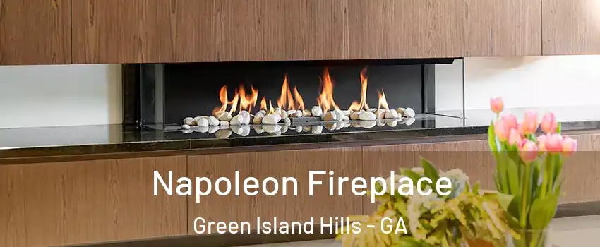 Napoleon Fireplace Green Island Hills - GA