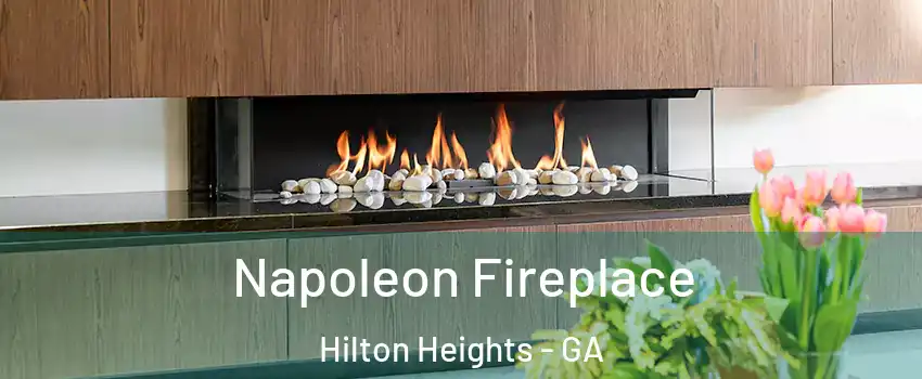 Napoleon Fireplace Hilton Heights - GA