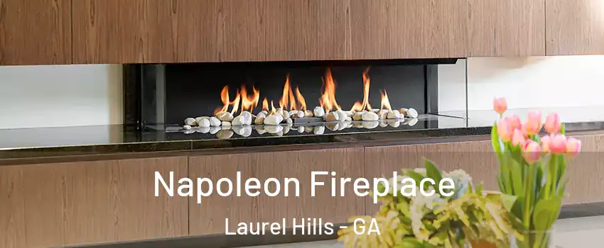 Napoleon Fireplace Laurel Hills - GA