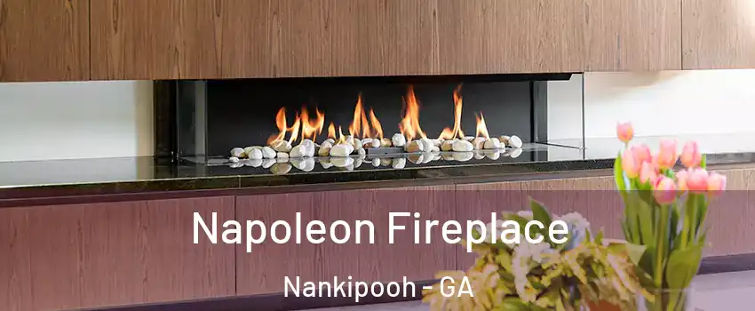 Napoleon Fireplace Nankipooh - GA