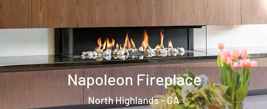 Napoleon Fireplace North Highlands - GA