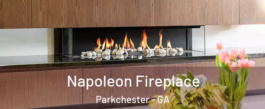 Napoleon Fireplace Parkchester - GA