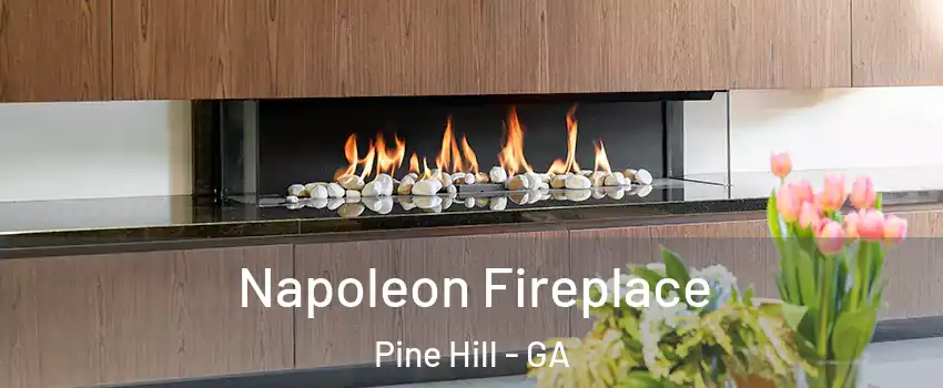 Napoleon Fireplace Pine Hill - GA