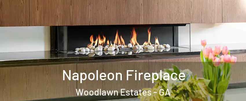 Napoleon Fireplace Woodlawn Estates - GA