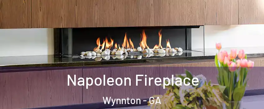Napoleon Fireplace Wynnton - GA