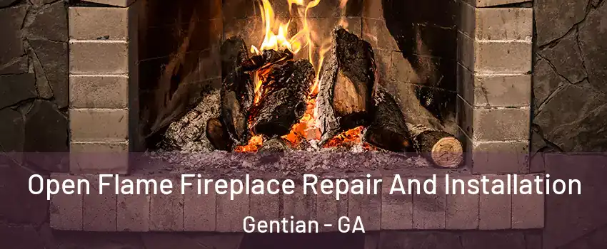 Open Flame Fireplace Repair And Installation Gentian - GA
