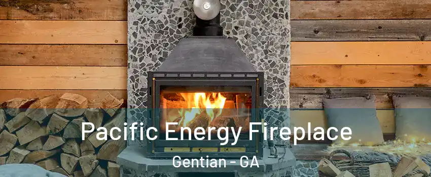 Pacific Energy Fireplace Gentian - GA