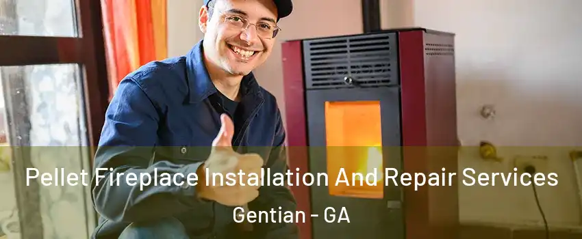 Pellet Fireplace Installation And Repair Services Gentian - GA