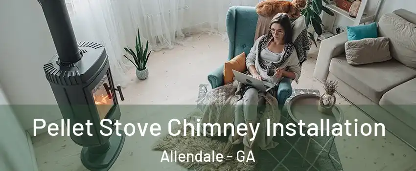 Pellet Stove Chimney Installation Allendale - GA