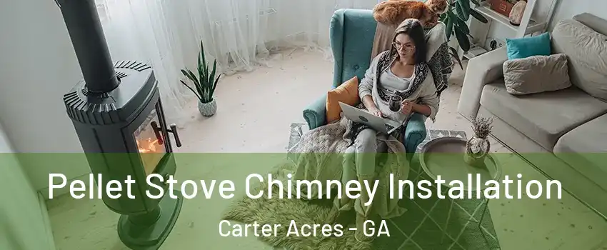 Pellet Stove Chimney Installation Carter Acres - GA