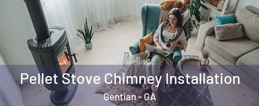 Pellet Stove Chimney Installation Gentian - GA