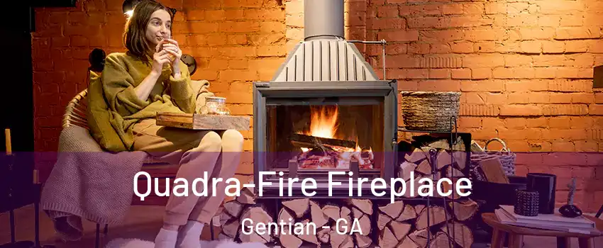 Quadra-Fire Fireplace Gentian - GA