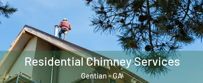 Residential Chimney Services Gentian - GA