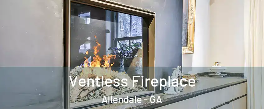 Ventless Fireplace Allendale - GA