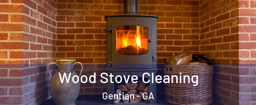 Wood Stove Cleaning Gentian - GA