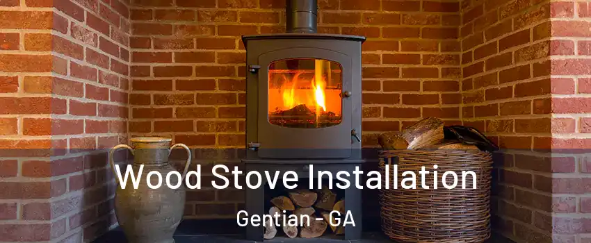 Wood Stove Installation Gentian - GA