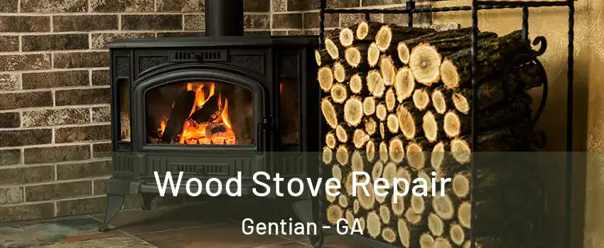 Wood Stove Repair Gentian - GA